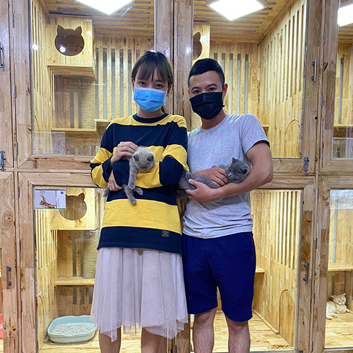 Khách hàng Chạm Pets nhận bàn giao mèo Anh lông ngắn (ALN), chụp ảnh cùng hai bé mèo tại cơ sở