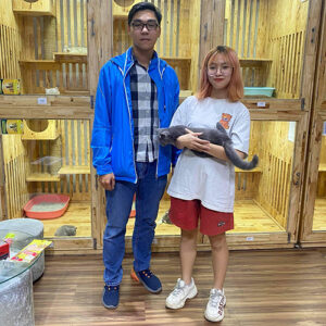 Khách hàng Chạm Pets nhận bàn giao mèo Anh lông ngắn (ALN) màu xám, chụp ảnh lưu niệm tại cơ sở