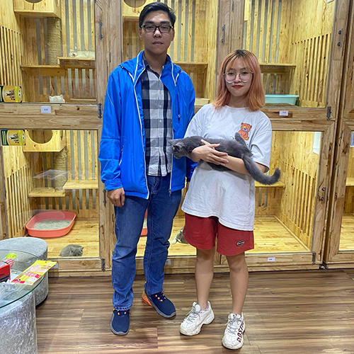Khách hàng Chạm Pets nhận bàn giao mèo Anh lông ngắn (ALN) màu xám, chụp ảnh lưu niệm tại cơ sở