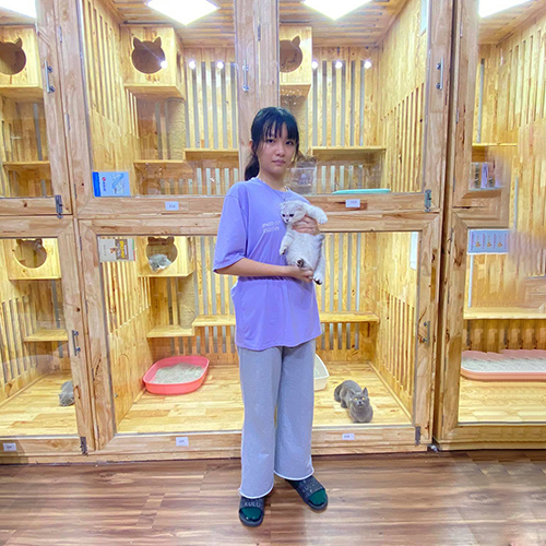 Khách hàng Chạm Pets bế mèo Anh lông ngắn (ALN) màu trắng và chụp ảnh bàn giao tại cơ sở