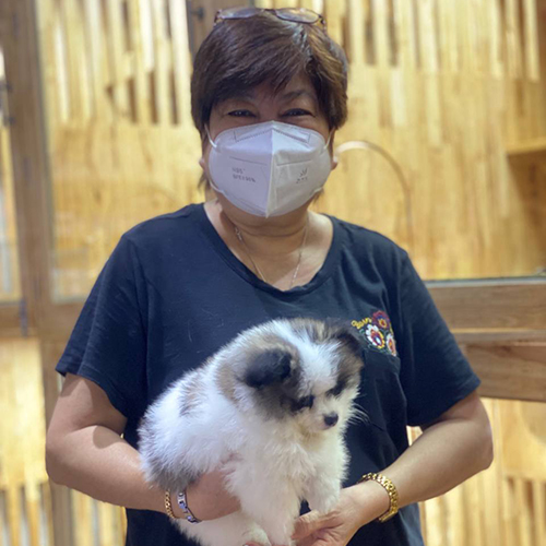 Khách hàng bế chó Phốc sóc con màu trắng đen tại Chạm Pets Family trong buổi giao bé thực tế