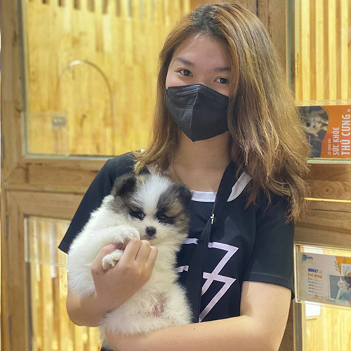 Khách hàng bế chó Phốc sóc con màu trắng đen tại Chạm Pets Family trong buổi giao bé thực tế