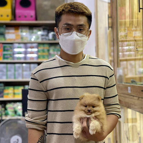 Khách hàng bế chó Phốc sóc con màu vàng tại Chạm Pets Family trong buổi giao bé thực tế