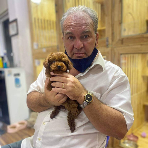 Khách bồng bé Poodle nâu đỏ tại Chạm Pets Family trong ngày bàn giao, bé nhỏ gọn và rất ngoan