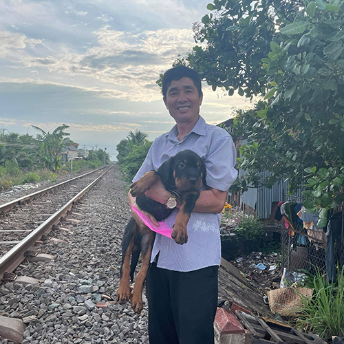 Khách hàng bế chó Rottweiler con khi nhận bé ngoài thực tế (ảnh bàn giao)