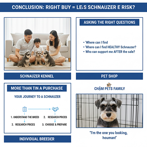 Tổng kết hành trình chọn mua Schnauzer: hiểu giống, nắm giá, chọn kênh uy tín và đặt câu hỏi đúng để giảm rủi ro.