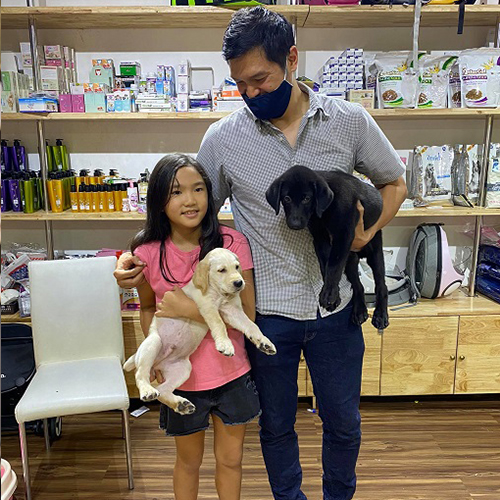 Gia đình chụp ảnh nhận hai chó Labrador con màu vàng kem và màu đen trong cửa hàng, có bé gái bế chó vàng kem