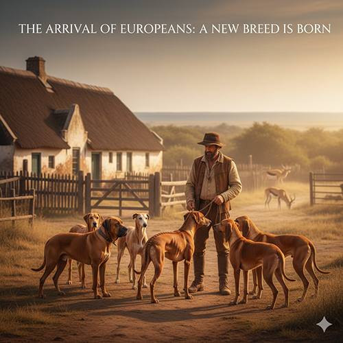 Người châu Âu thời thuộc địa cùng đàn chó xoáy Nam Phi tại nông trại