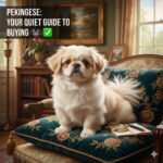 Mua bán chó Bắc Kinh với checklist chọn nơi uy tín và cách tránh lừa