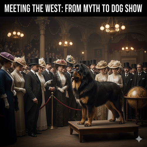 Chó Ngao Tây Tạng xuất hiện trong triển lãm chó châu Âu với ngoại hình to lớn, lông dày và thần thái uy nghi