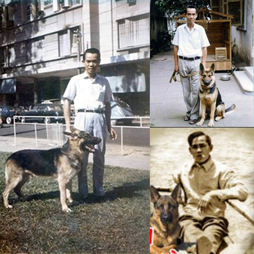 Ảnh tư liệu Phạm Xuân Ẩn đứng cạnh chó Becgie Đức (German Shepherd)