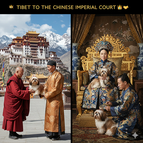 Hành trình chó Shih Tzu từ Tây Tạng đến hoàng cung Trung Hoa