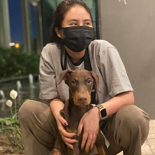 Khách nhận chó Doberman màu nâu socola tại Chạm Pets, ảnh thật lúc bàn giao
