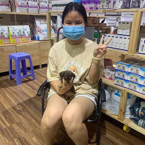 Khách hàng ngồi cùng chó Lạp Xưởng đen vàng sau khi nhận bé tại Chạm Pets