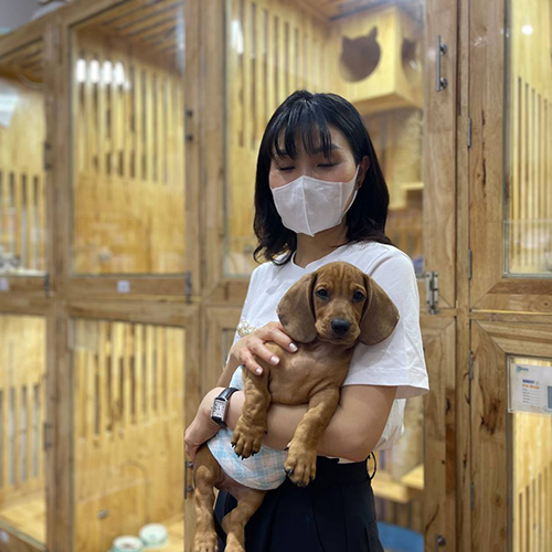 Khách hàng ôm chó Lạp Xưởng màu nâu đỏ tại điểm đón Chạm Pets