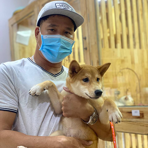 Khách hàng bế chó Shiba con tại Chạm Pets, ảnh bàn giao thực tế