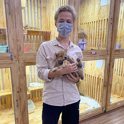 Khách hàng bế chó Shiba con tại Chạm Pets, ảnh bàn giao thực tế