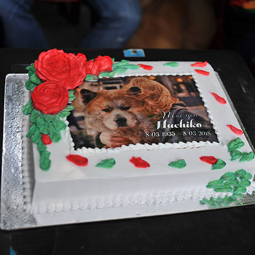 Chiếc bánh tưởng nhớ Hachiko – biểu tượng lòng trung thành của người yêu chó Akita, ảnh thật