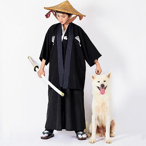 Chó Akita Inu trắng trưởng thành tại Chạm Pets, ảnh thật chụp studio