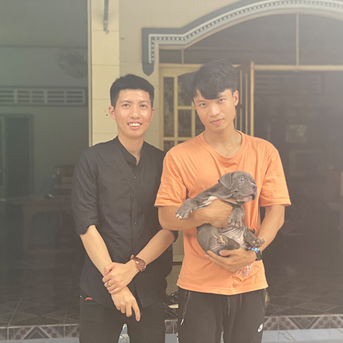 Khách nhận bé Chó Bully trong ảnh bàn giao thực tế, bé nằm ngoan trên tay