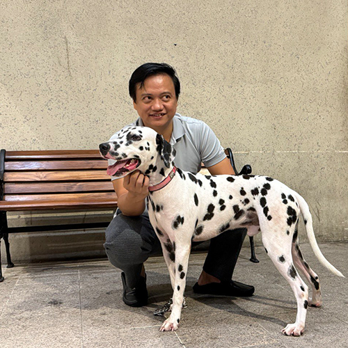 Chó Đốm Dalmatian đứng dáng thể thao cạnh người, pattern đốm rõ, phù hợp gia đình thích vận động 🐾