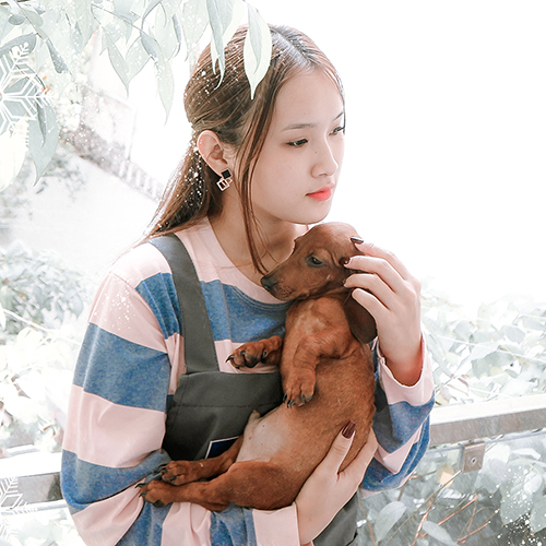 Khách hàng bế chó Lạp Xưởng màu nâu đỏ, ảnh bàn giao tại Chạm Pets