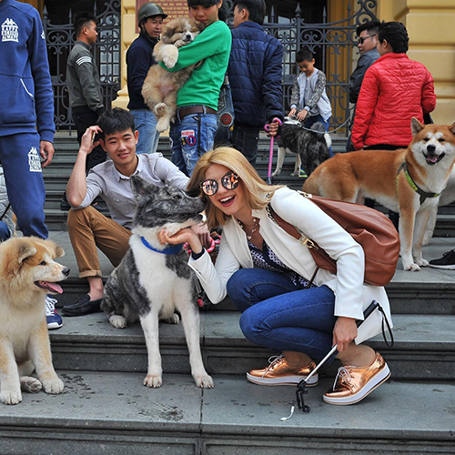 Du khách nước ngoài tham dự buổi offline chó Akita, giao lưu cùng cộng đồng, ảnh thật