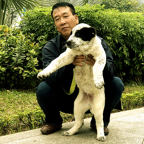 Khách bế chó Alabai sau khi nhận, ảnh bàn giao thực tế để đối chiếu đúng bé