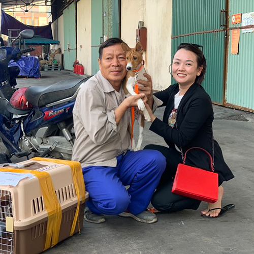 Khách nhận chó Basenji tại điểm bàn giao, bế bé chụp ảnh thật 🐾