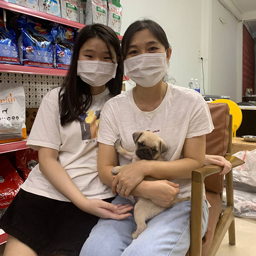 Khách hàng ôm chó Pug con trong cửa hàng, ảnh bàn giao thực tế có người tương tác