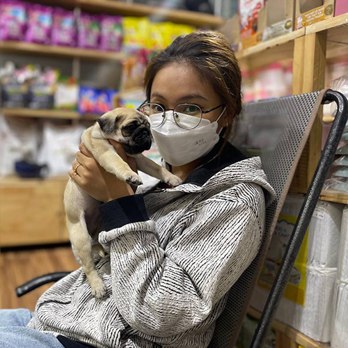 Khách hàng ôm chó Pug con màu vàng kem tại cửa hàng, bé tương tác gần gũi khi bàn giao