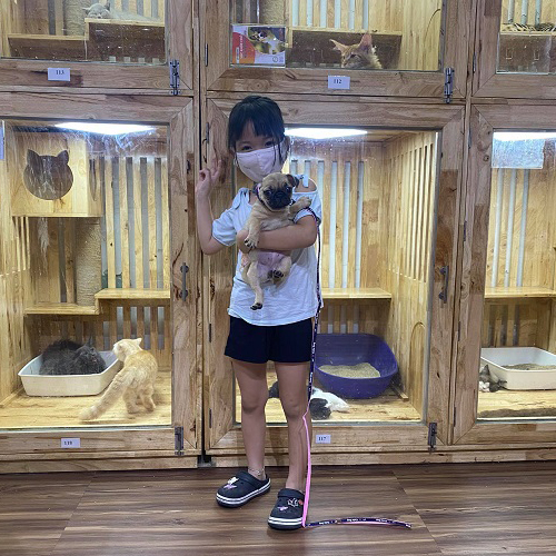 Khách hàng bế chó Pug con tại khu chuồng kính, ảnh bàn giao thực tế trong cửa hàng