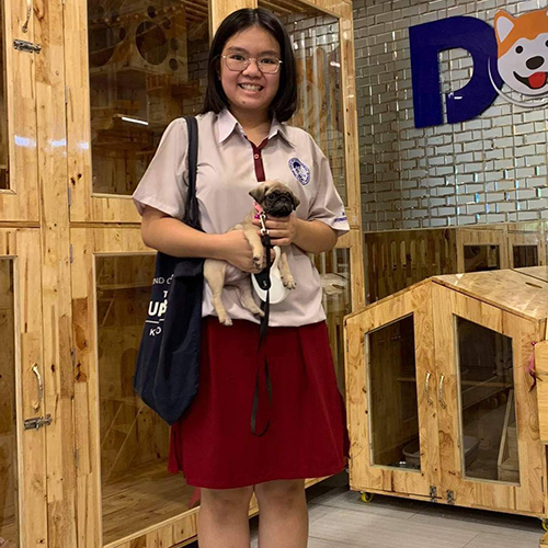 Khách hàng bế chó Pug con tại khu chuồng gỗ, ảnh bàn giao thực tế ở Chạm Pets