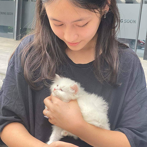 Khách nhận bé mèo lông dài màu trắng tại Chạm Pets, bế bé lúc bàn giao