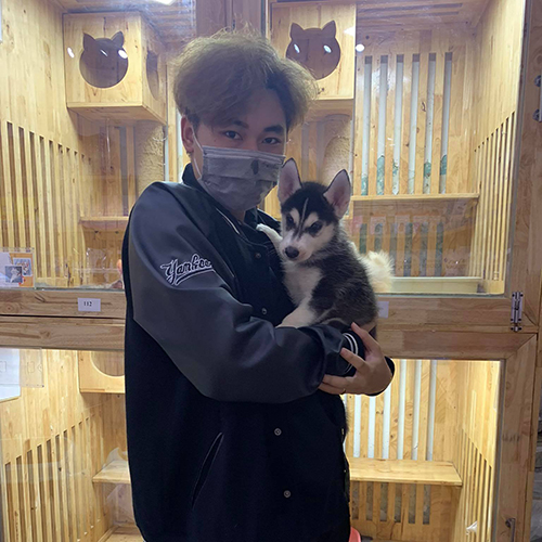 Khách hàng bồng bé chó Husky đen trắng tại Chạm Pets, ảnh chụp thực tế trước khi bàn giao