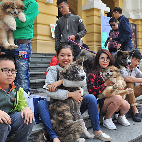 Buổi offline chó Akita với người tham dự đủ lứa tuổi, từ trẻ nhỏ đến thanh niên, ảnh thật