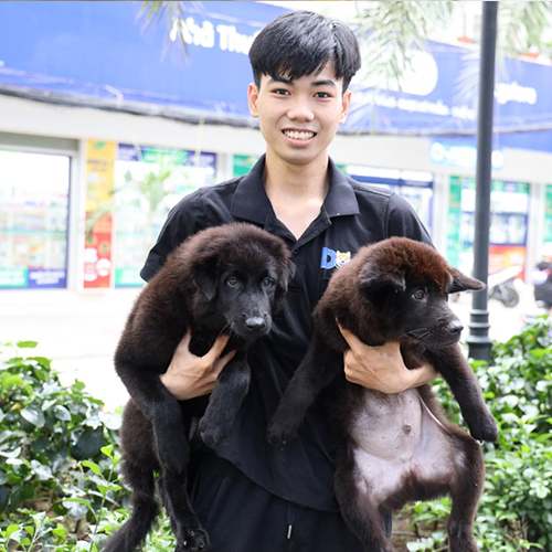 Nhân viên Chạm Pets bế hai bé chó Mông cộc đen, ảnh thật 🐾