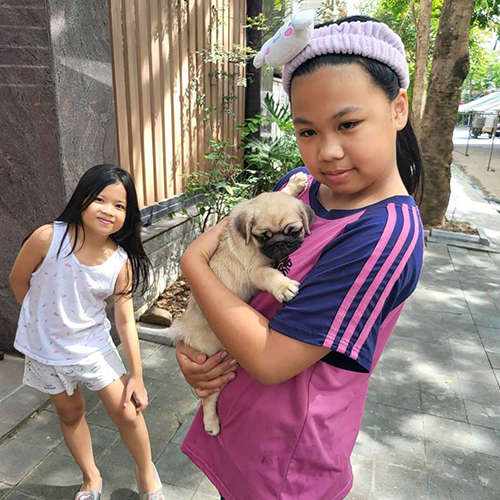 Bé gái bế chó Pug con màu vàng kem ngoài trời, một bé khác đứng phía sau