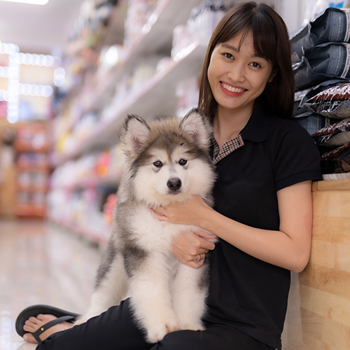 Alaska con đang được bế và làm quen với môi trường mới