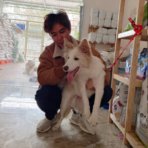 Khách hàng bế bé Border Collie lông trắng trong lúc bàn giao tại Chạm Pets