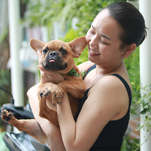 Người bế chó Bull Pháp trưởng thành màu vàng nâu ngoài trời