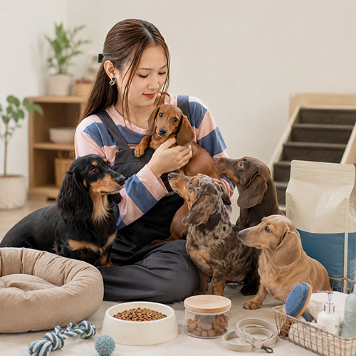 Nhân viên Chạm Pets bên các bé chó Lạp Xưởng và đồ dùng chăm sóc