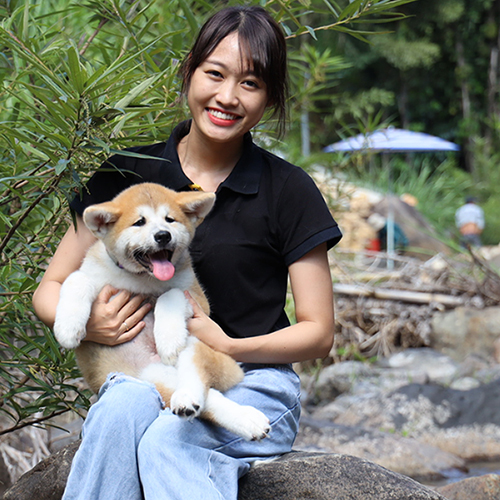 Chó Akita Inu con màu đỏ trắng được người phụ nữ bế ngoài trời
