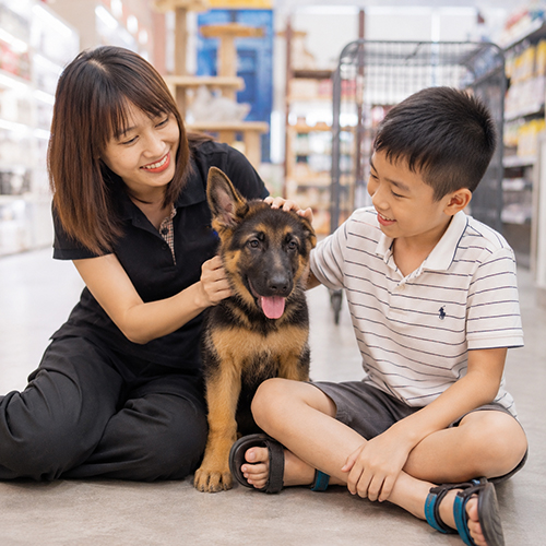 Nhân viên Chạm Pets hướng dẫn trẻ nhỏ làm quen với chó Becgie Đức con