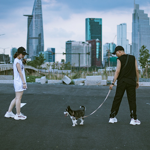 Chó Husky được dắt đi dạo trong không gian đô thị, phù hợp minh họa nhu cầu vận động