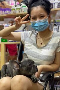 Khách hàng bế bé Bull Pháp màu blue tại Chạm Pets trong ngày bàn giao