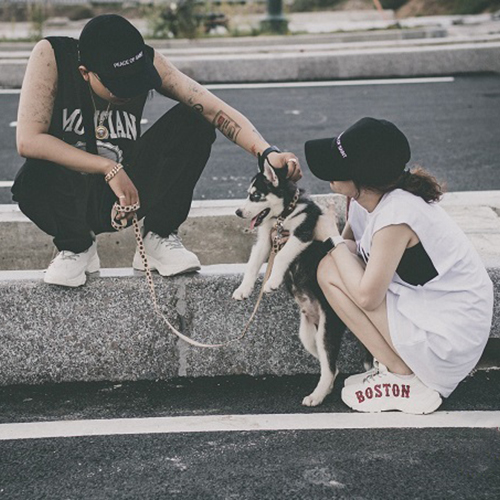 Chó Husky được nuôi làm thú cưng và bạn đồng hành trong gia đình