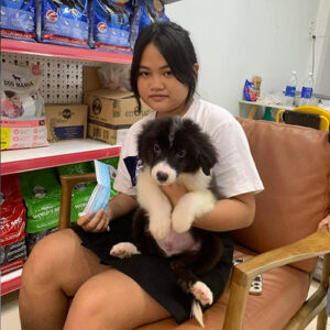 Khách hàng bế bé Border Collie con đen trắng khi ngồi nhận bé tại Chạm Pets