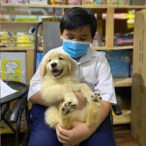 Khách hàng bế chó Golden con tại cửa hàng