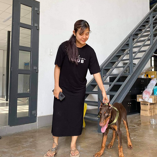 Khách hàng dắt chó Doberman màu nâu đỏ khi nhận bàn giao
